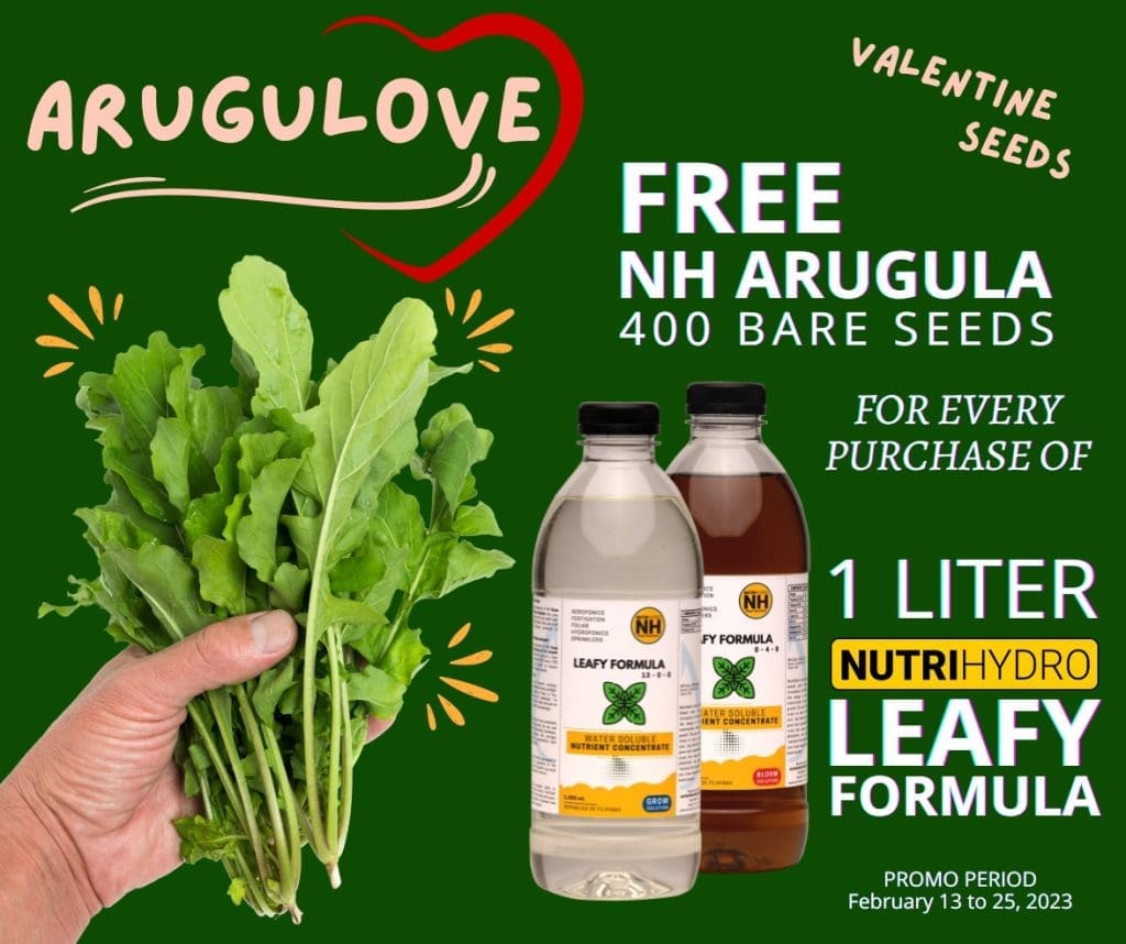 Free NH Arugula