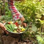 Nutrient-Dense Crops for Better Health