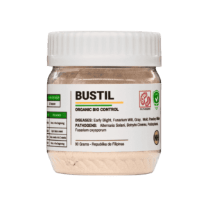 NH Bustil