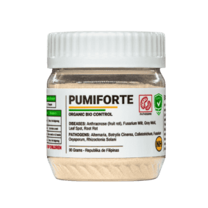 NH Pumiforte