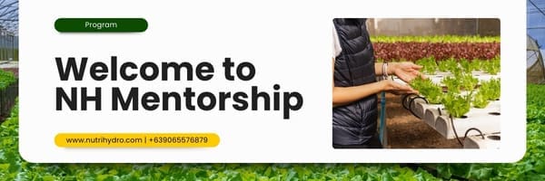 Website Banner