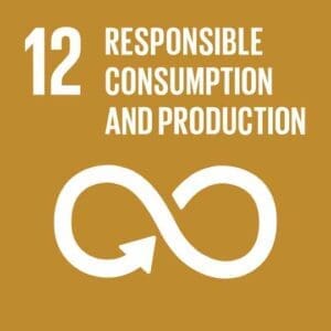 SDG 12 Responsible Consumption & Production