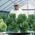 How Dr. Bernard Kratky Made Hydroponics Accessible to Every Filipino