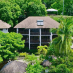 Where the Beach Meets the Greenhouse