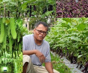 Image from Jezrel Carreon's Talong & Ampalaya Farm FB page.